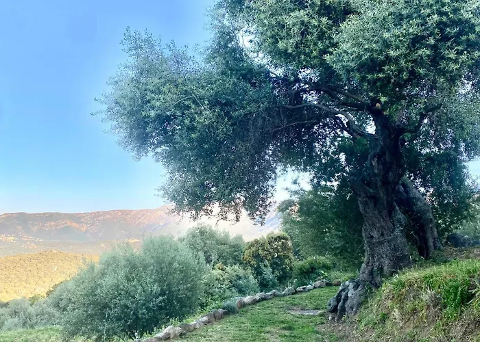 Apartamento Casa Fondale *