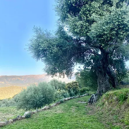 Lägenhet Casa Fondale *